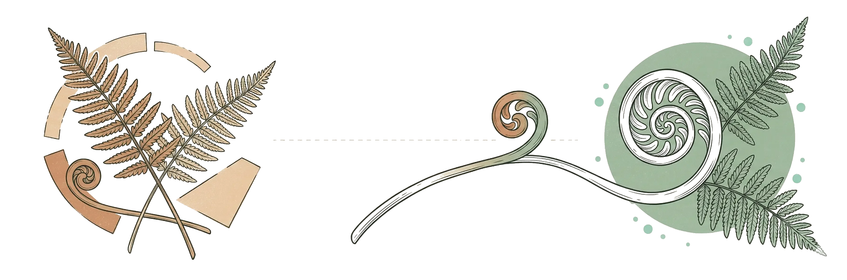 De la confusion à la clarté — transition symbolisée par un passage du chaos des labels vers la spirale koru ordonnée