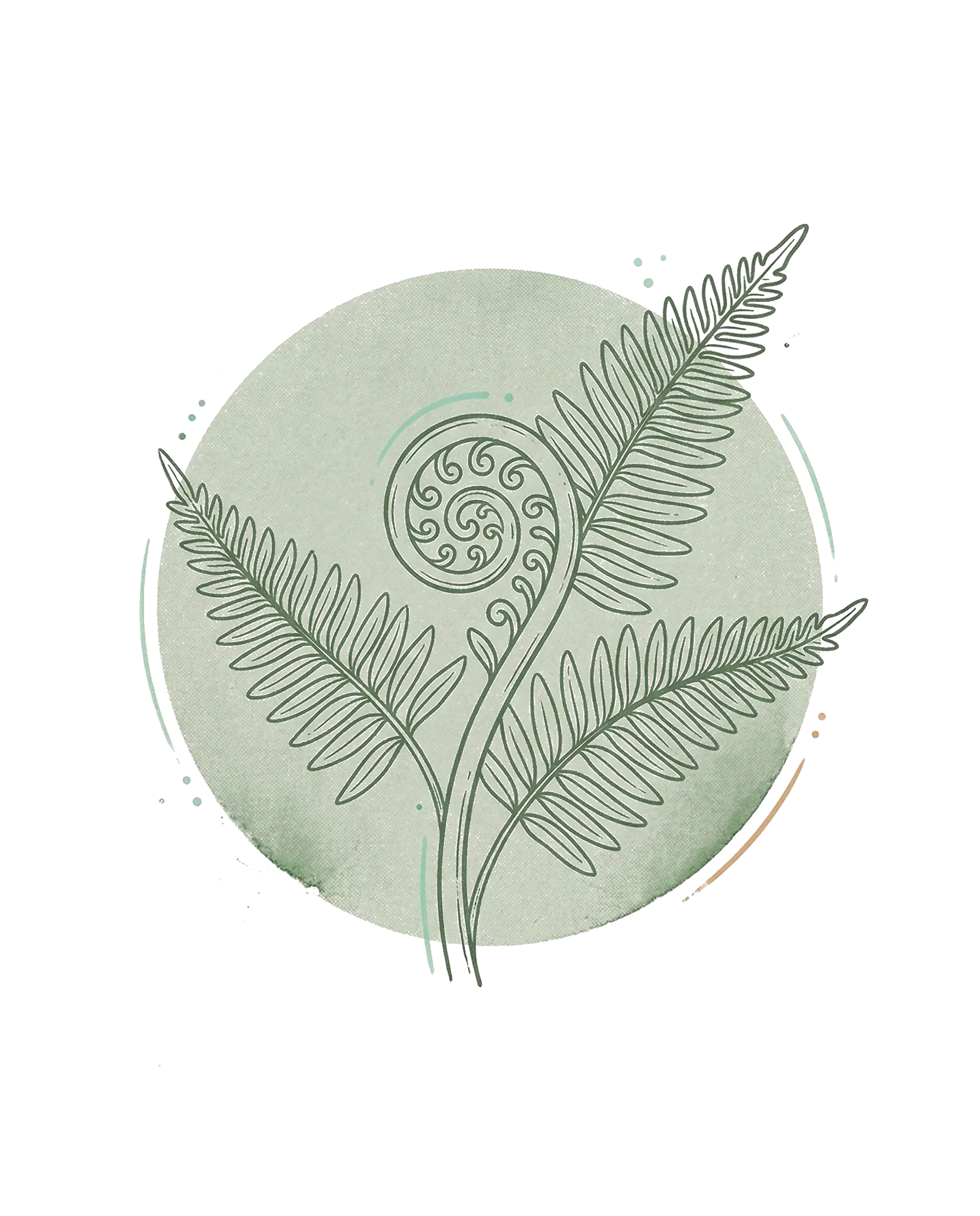Spirale koru — jeune fronde de fougère māori symbolisant la croissance et le renouveau