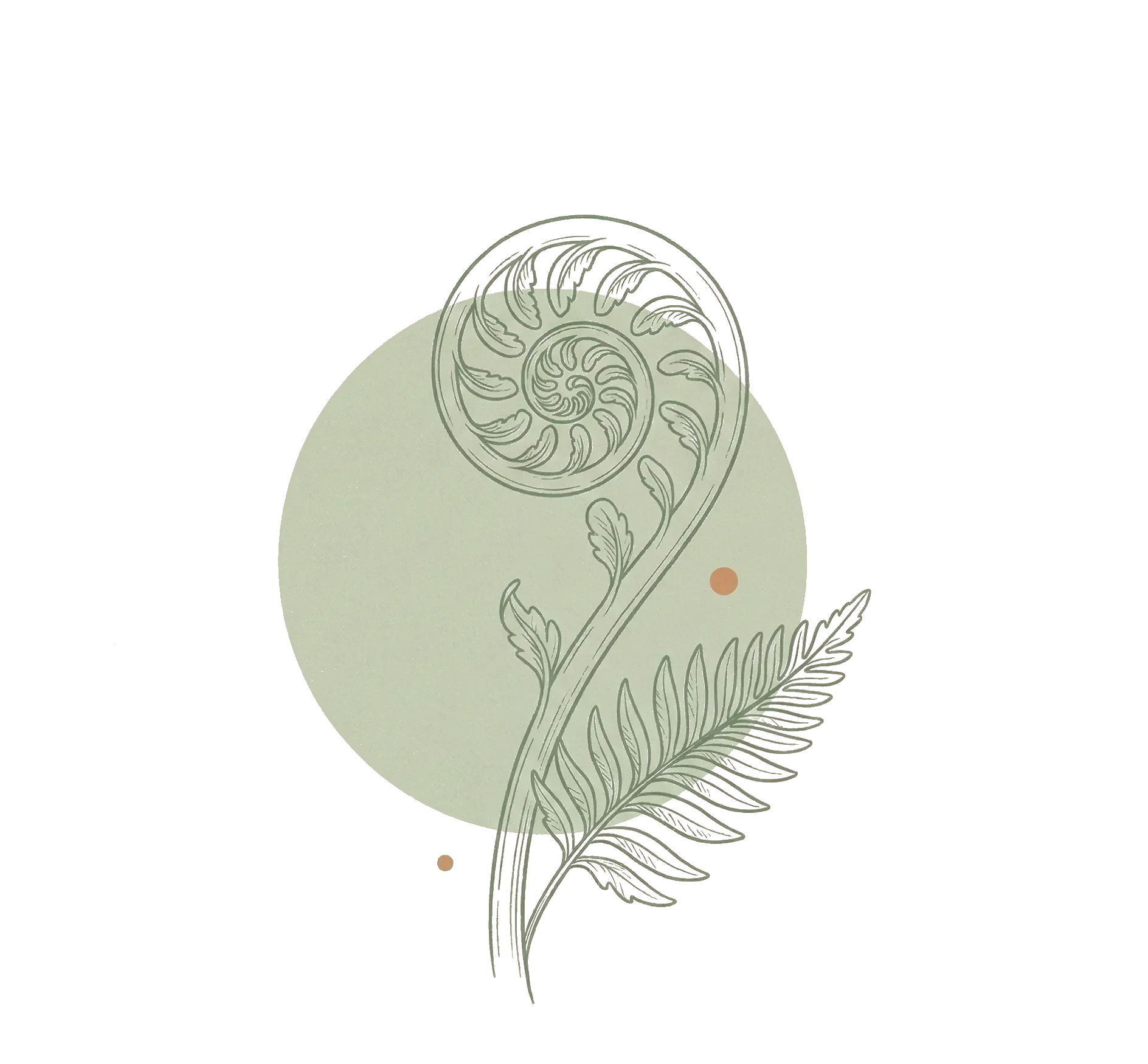 Symbole koru — croissance